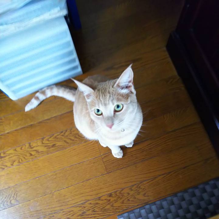 Eea3dd90 72b3 4c97 b8a1 0b59a349365d 1561676488961