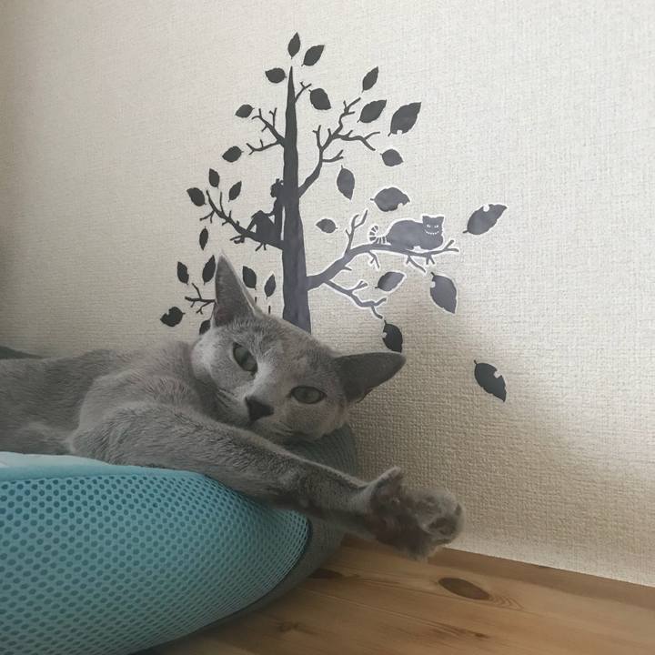 Eea4169c 830d 4fe4 bcd7 12180ee35e9f 1537803224440