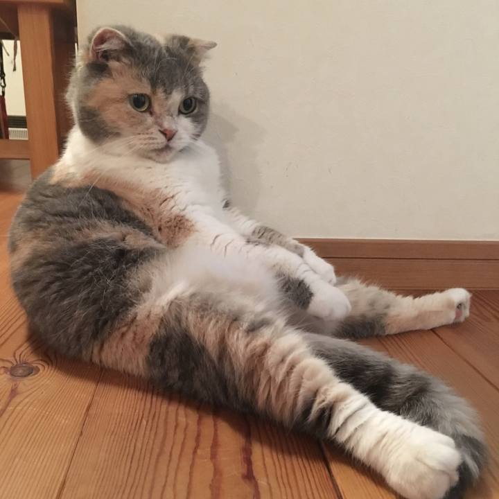 Eea4216e f06d 4a91 9848 c0d993d27cad 1566553673326