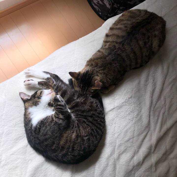 Eea4388d 4815 4977 870f 7b373b72ce38 1615191638055