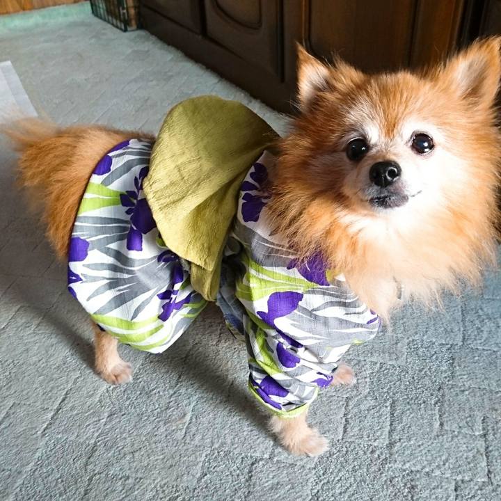 Eea452e2 8800 4360 9bc2 2c0c03fec70b 1533368779310