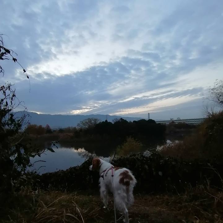 Eea454fb 71eb 4b73 8cdc a29bff3b9091 1608766600474