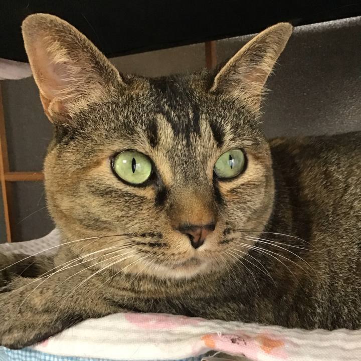 Eea469bb bc7b 4a03 b287 17a77952e03c 1687957727566