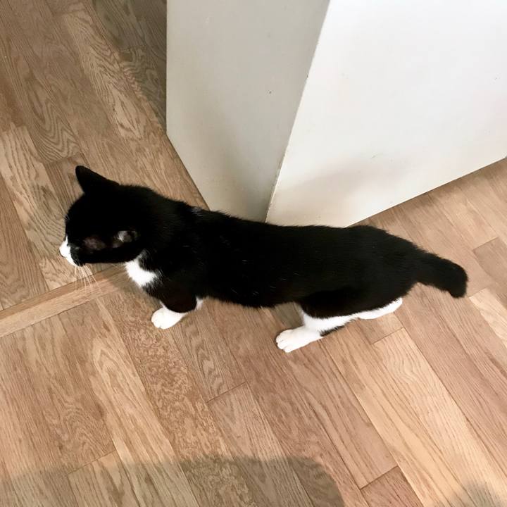 Eea46c65 991f 4848 9abb a361ffd1e771 1564375800249