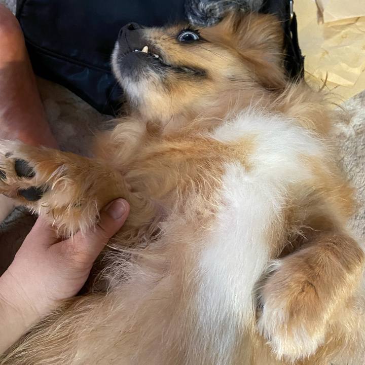 Eea48278 9620 4c4c bc47 9c0064e976c9 1594330670788