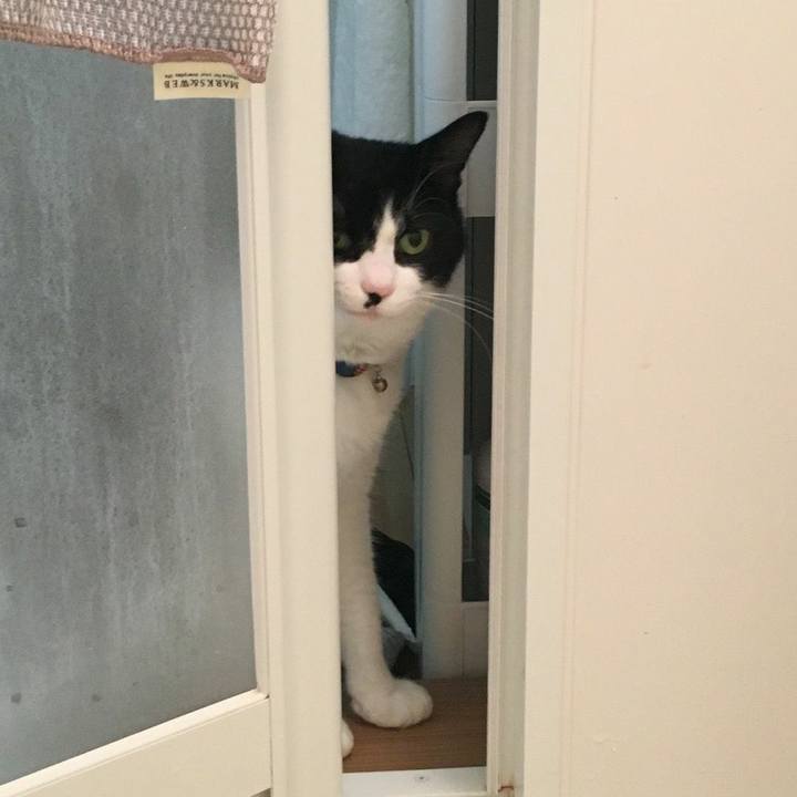 Eea4b031 8c32 4702 9230 fed2feff5e80 1540551592913