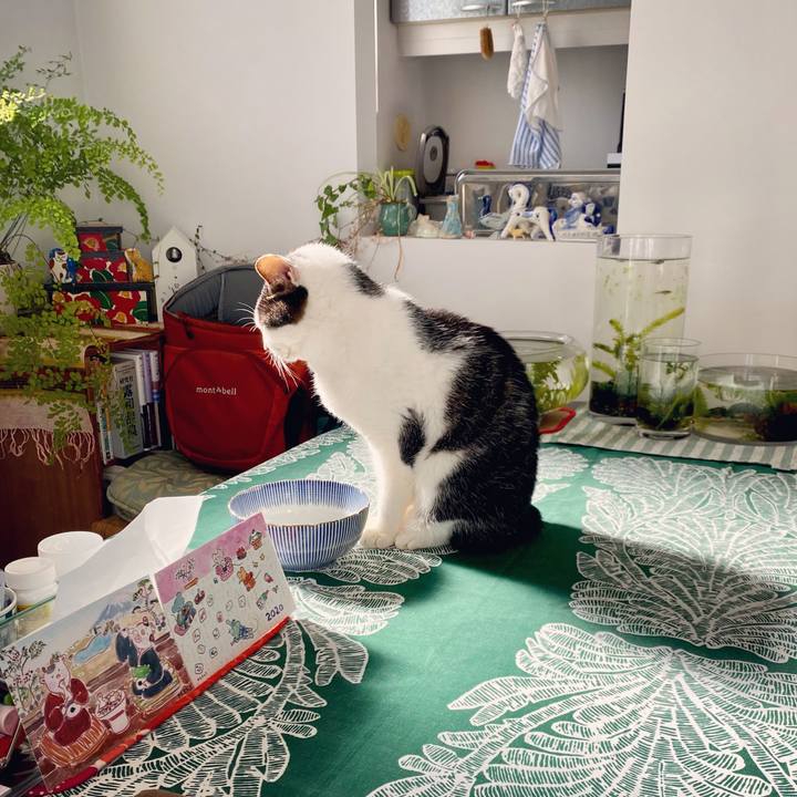 Eea4c0d4 2522 406b be6d e662a2d4f0df 1608174814664