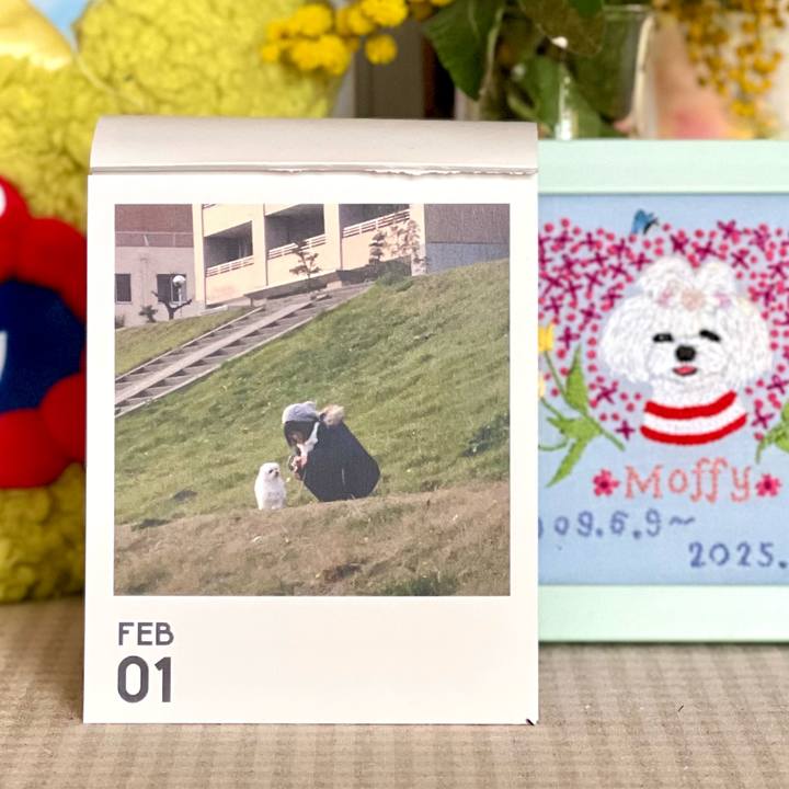 Eea4cd2e 024f 4758 aea0 81288deb628a 1769909844578