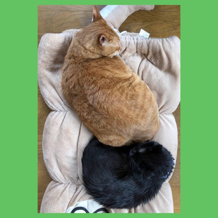 Eea4e297 8015 47f2 be7a ddad60955a57 1586569776882