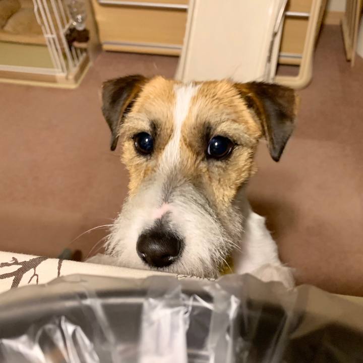 Eea52fa6 0937 431f bfc8 86d6282444fb 1587464080212