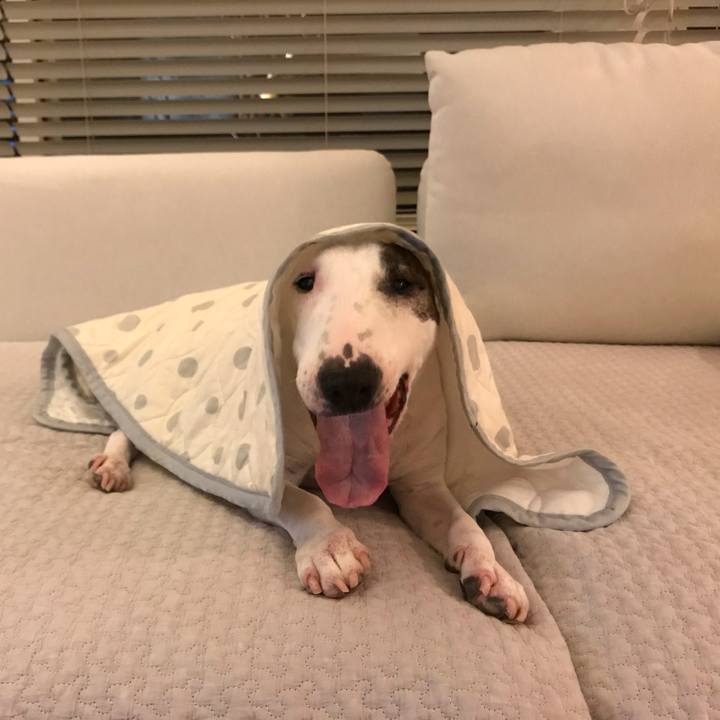 Eea5b6b2 b643 463a b9bd 55734a43264d 1596558558119