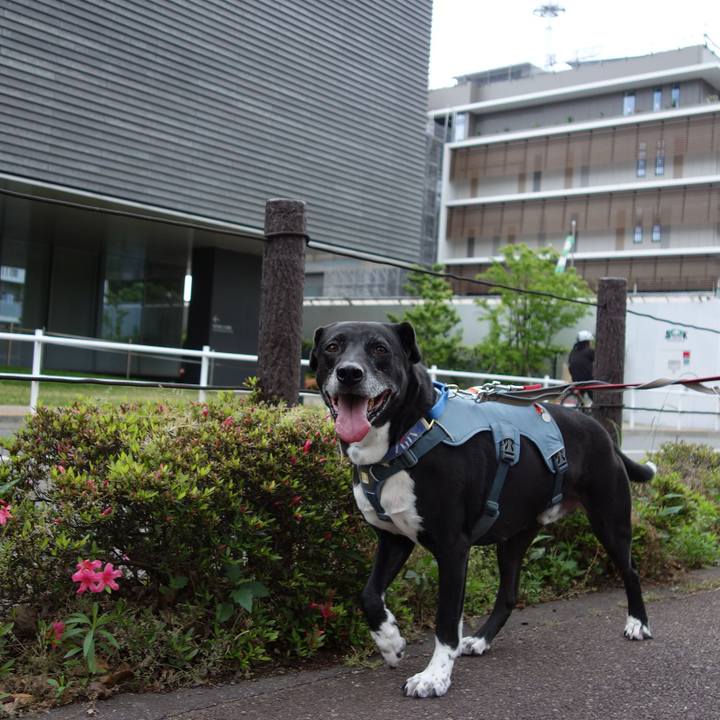 Eea5d301 0419 4548 ba46 667508bc3bdd 1715475278167