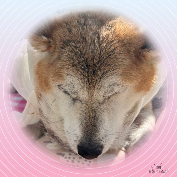 Eea5f0b7 04ed 4375 9d01 6fe504551961 1763092372062