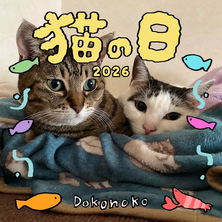 Eea6023b e63e 40f8 95ee 7868d4eefa1f 1771688647039