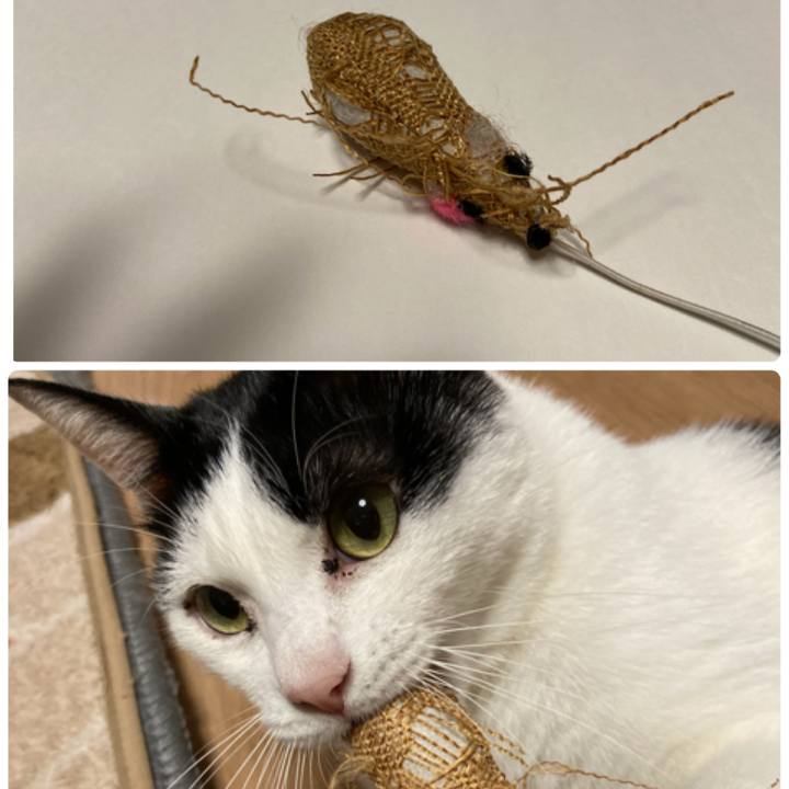 Eea677c2 8340 4dbd 9e00 949bcfdad00a 1575288302198