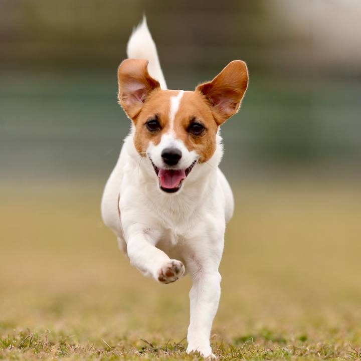 Eea68a5a 8174 40bf 927c b5c82d02764f 1735704847101