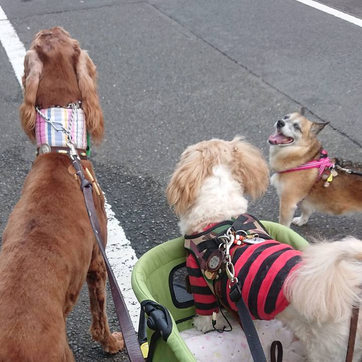 Eea6c89c 049f 410c a5b4 036bb35d1b23 1539356494461