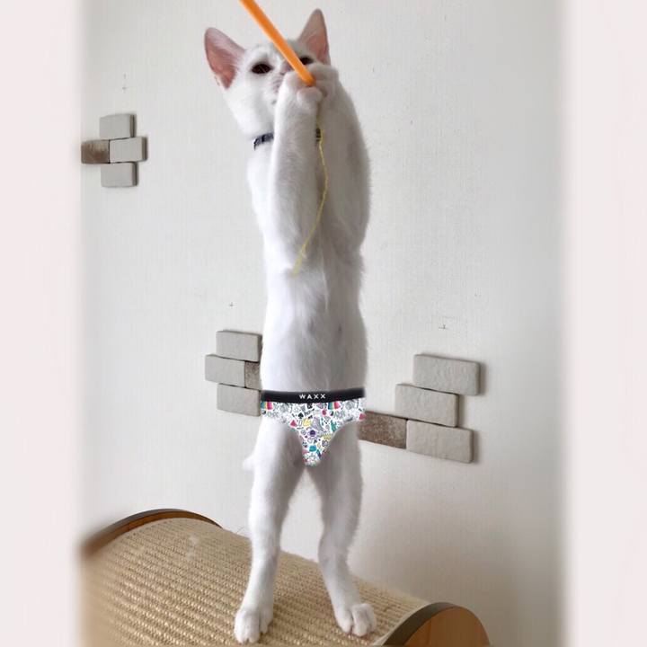 Eea6f933 dc79 41ad 8bcb 84262d6a21a5 1569229339739