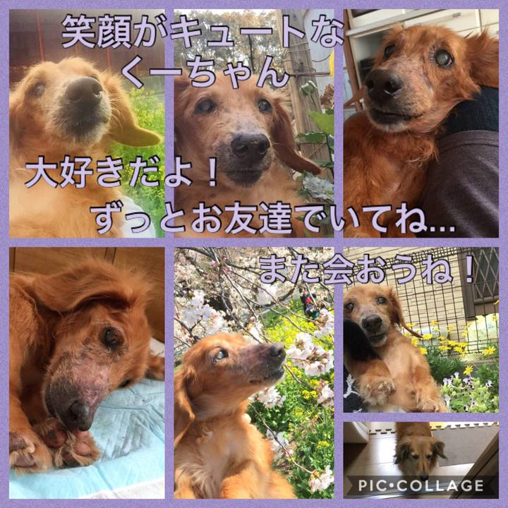 Eea71451 f524 4bbc 8920 147bc68b2016 1561809209817