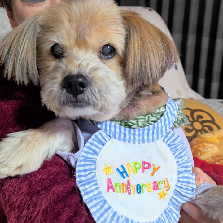 Eea74e02 62dc 42db 8216 9df4820c2e02 1734758160197