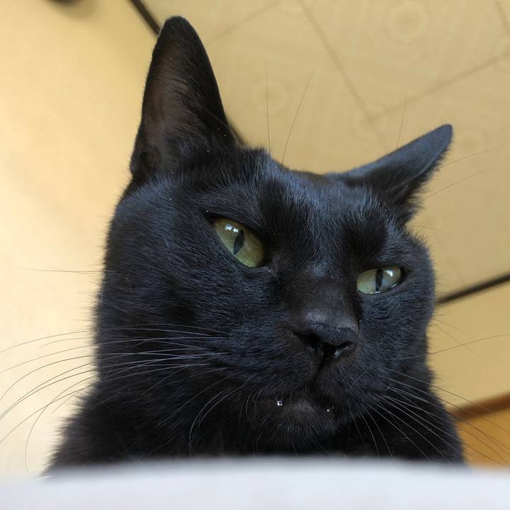 Eea75a10 3266 4f34 8076 36b166c08a60 1726457282140