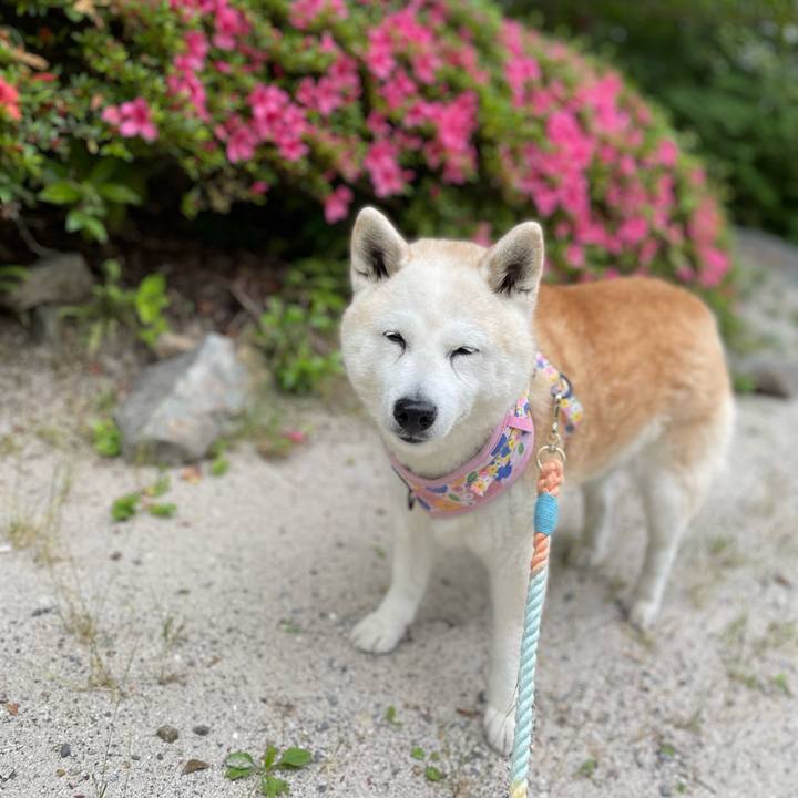 Eea7650b c7cb 4a2f a037 233160cd6622 1654400988127