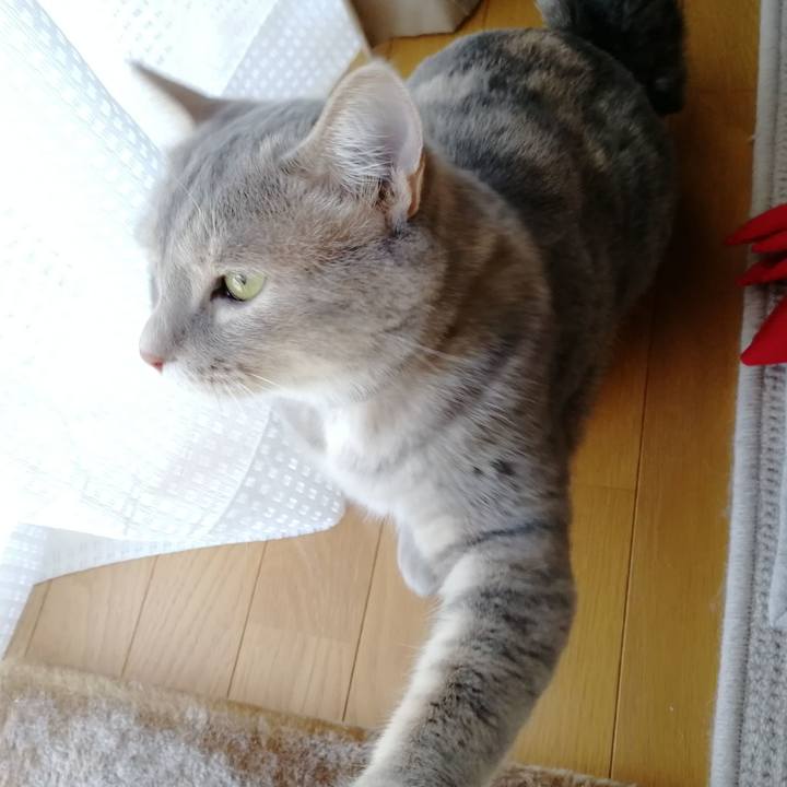 Eea7866a 1c08 4552 8640 546bd752cb17 1533596456695