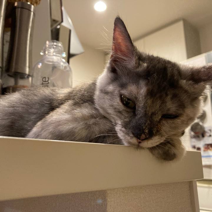 Eea7c8ec e5d2 4235 b6e3 05b59850be1c 1696143332106