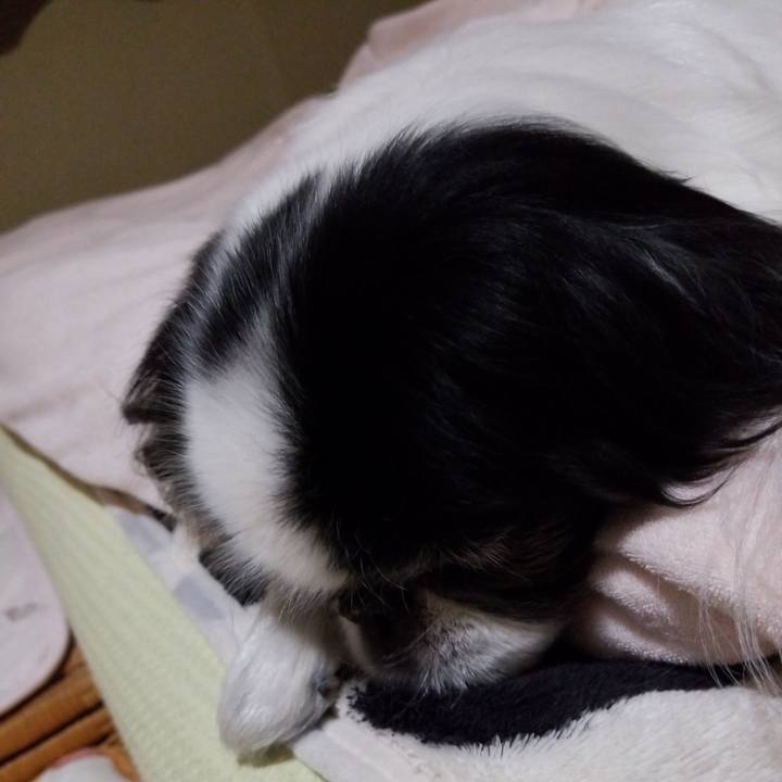 Eea7e7b3 2f7c 4186 97c3 f0f6459dd744 1549543210386