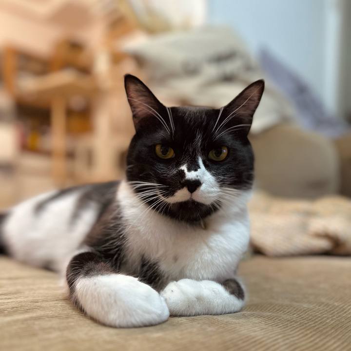 Eea7f881 2e17 4730 8a9a db8a7a7009b7 1770810613424