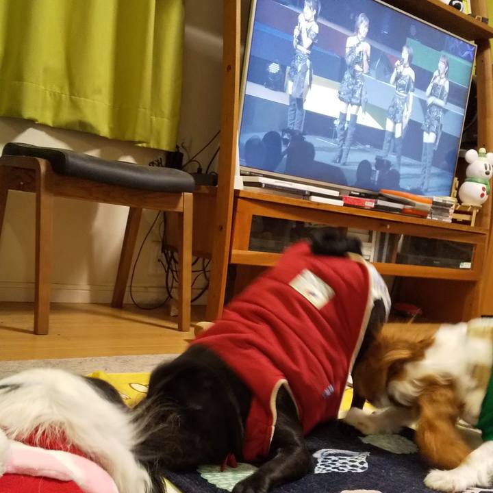 Eea84286 f42b 439c 9698 95d419d28d35 1577356091018