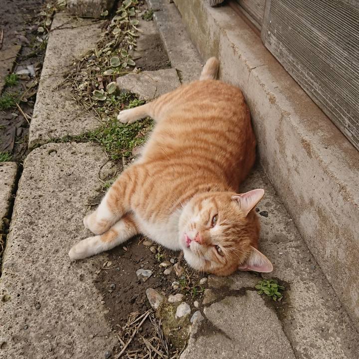 Eea8ab9f 8012 4b33 bf91 c66b4c0aadf3 1582343210535