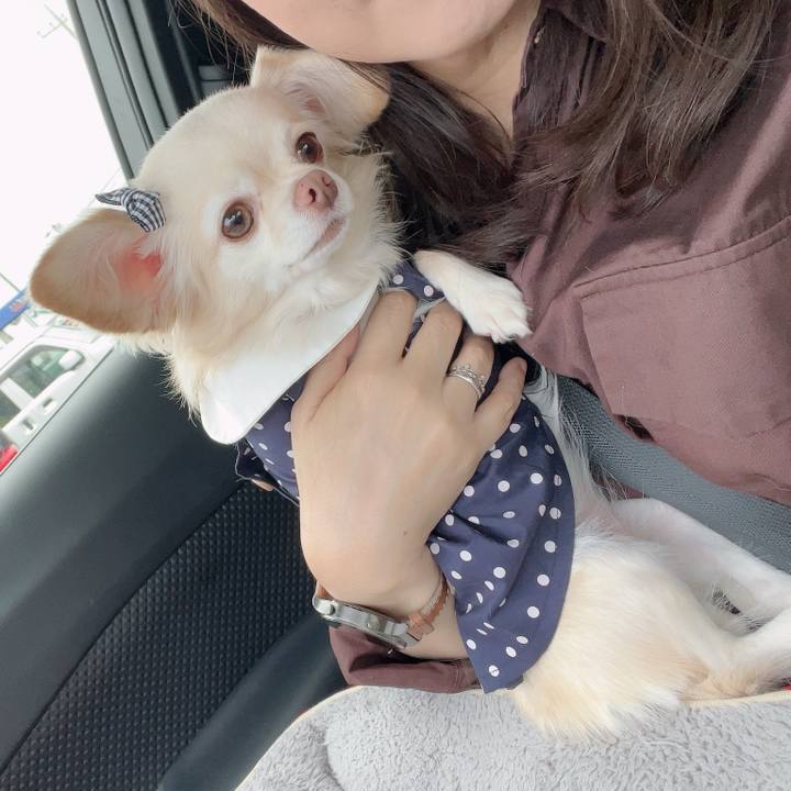 Eea8c578 65da 4e76 9e5e 6f1154aabbfe 1729930141690