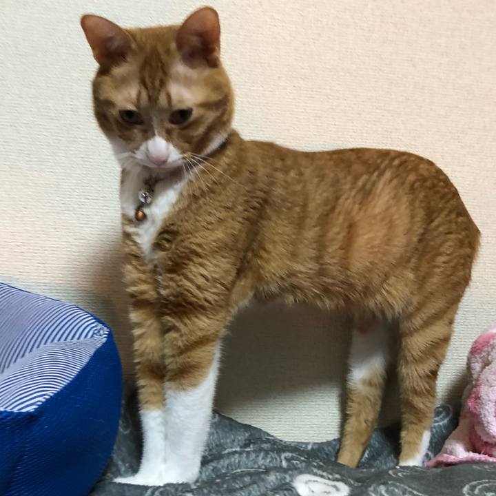 Eea8f252 43e8 44fe ba91 3f036cf3c958 1587737800530