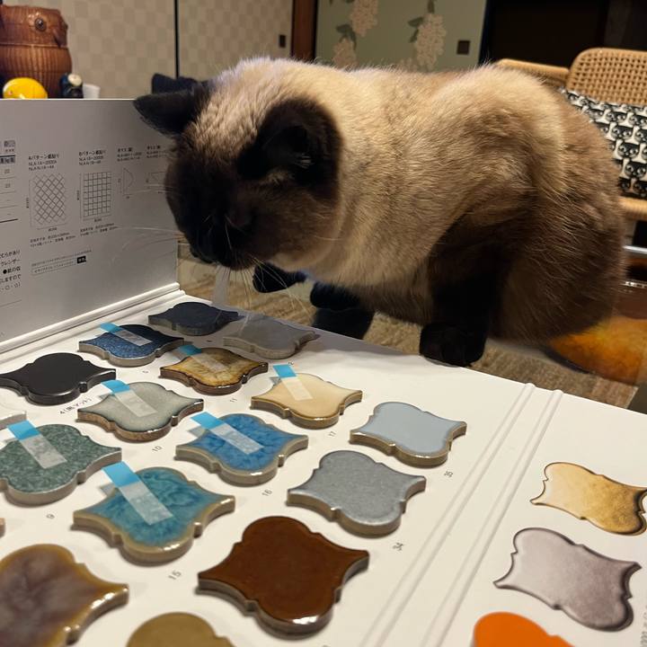 Eea90c67 7c3c 407c ab1c 13e081a59fac 1653622732993