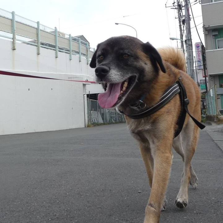 Eea934b7 7aa3 45d1 80c8 c97471e74e88 1578304736222