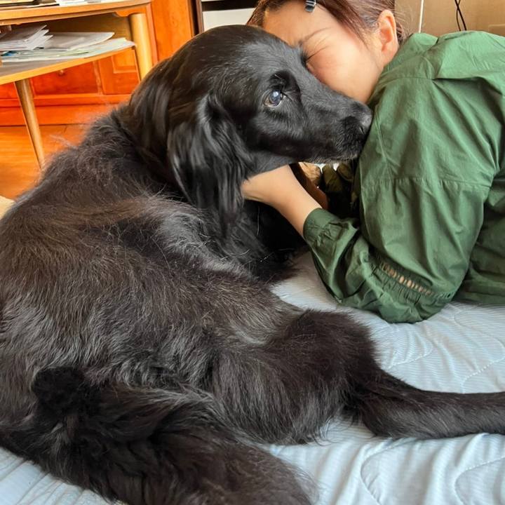 Eea98776 3964 40c8 a02b 0f3910a7a23b 1656126930758