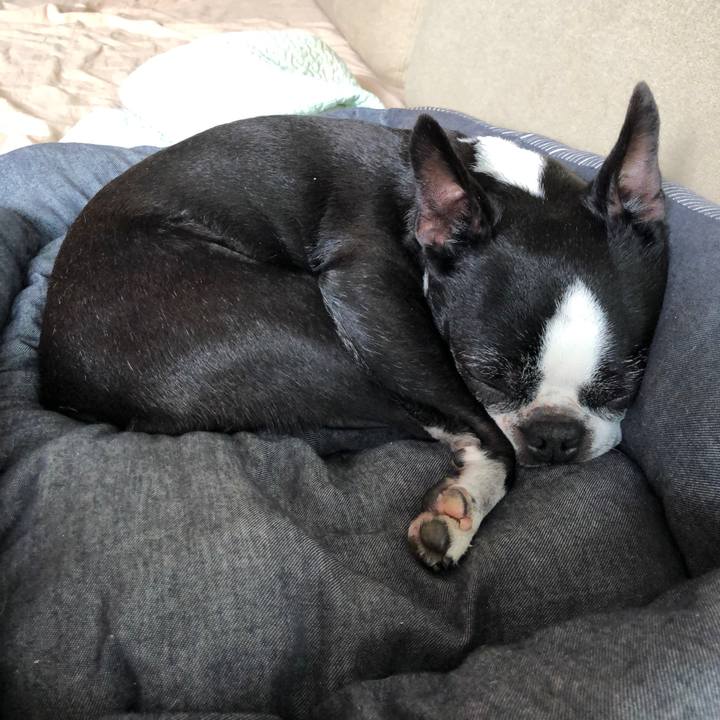 Eea99eed d431 4e28 9c21 833f0aa76b06 1684981849463