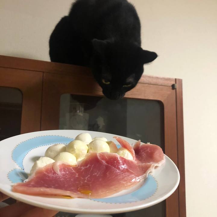 Eea9ad1b 2112 49cc a4c6 c922c9aad946 1597842249093