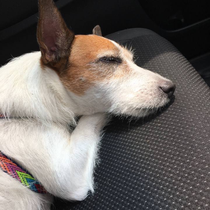 Eea9afb6 9670 4ebf a534 beb7938347ee 1597273616880