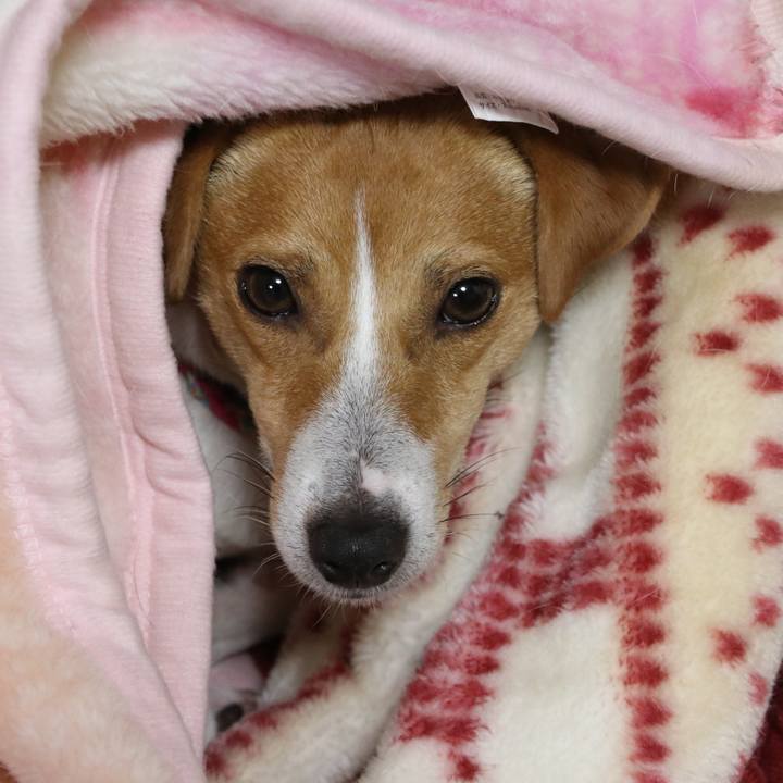 Eea9c416 6c07 4d5f 9f22 a3ba89907fec 1515493956847