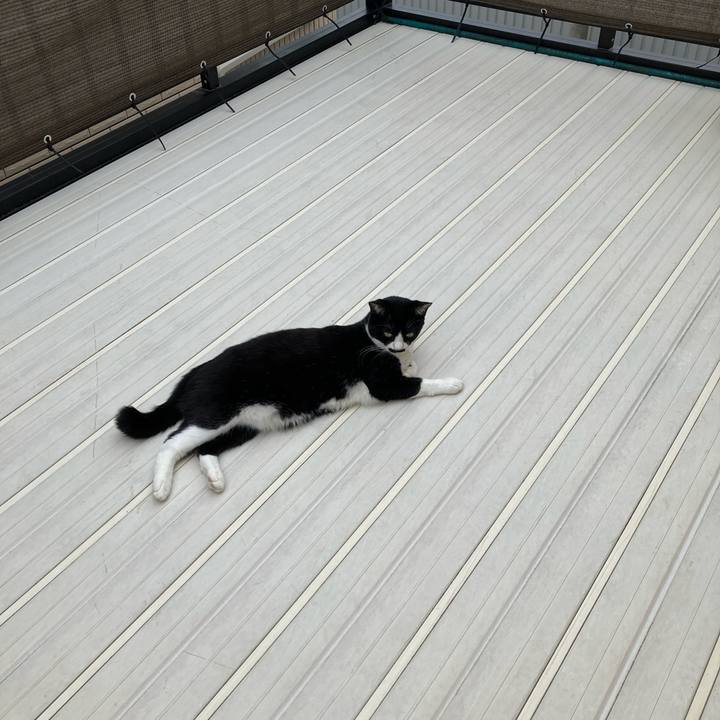 Eea9df8e 938f 48aa b522 bfc8f3370448 1727225925984