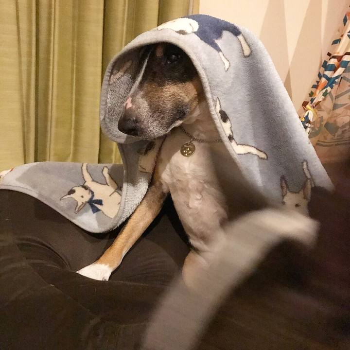 Eeaa4e8f 12c7 4068 8115 278567f6210e 1512903047062