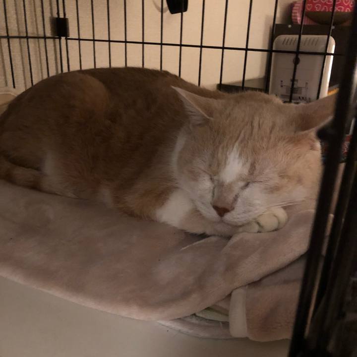 Eeaa862b e200 496f 8dd8 04b4e466279f 1607431326911