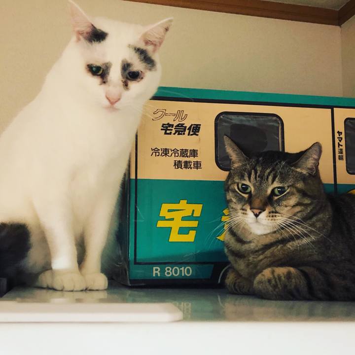 Eeaa8946 d83c 4a3c b854 b1682e7b6eb5 1562808542102