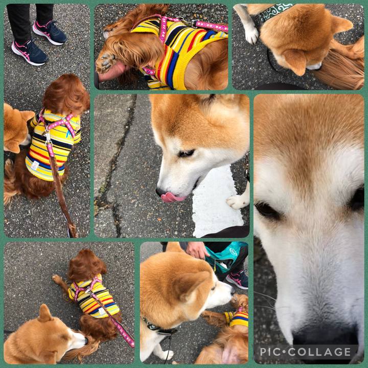 Eeaaa642 1632 4dab b038 0b9ea64f8eec 1642811915816