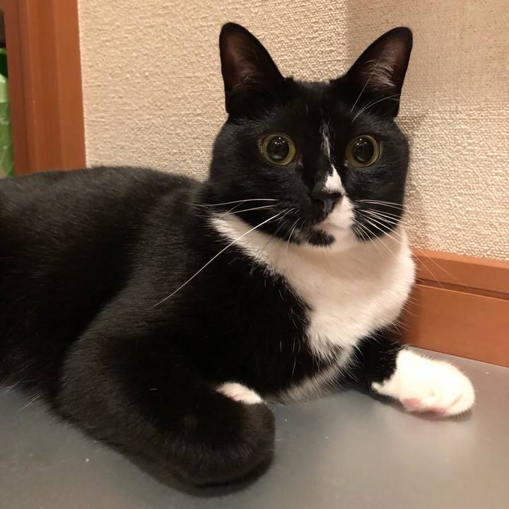 Eeaab033 93a1 4d14 9c7c b51c068df33e 1530740558105