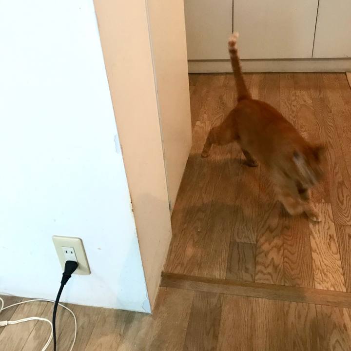 Eeab4813 c15c 4ebe aba2 a3f577dfba24 1575806309017