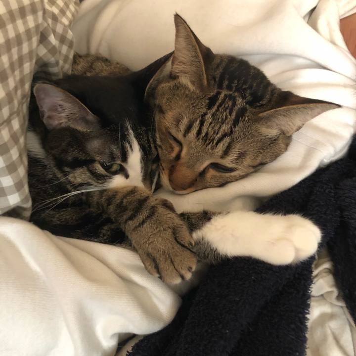 Eeab4e65 55c7 4761 bad4 55571055fefa 1546510960916