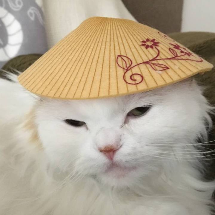 Eeab5676 a9f1 4a56 b31e b3bfc3a4fed7 1772264597760